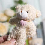 Blush Bear Keychain Manufacturer - OEM Custom Cute Baby Plush