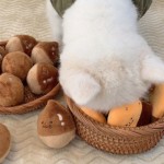 Pet Snuffle Toy Supplier - OEM Custom Fleece Hidden Food