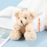 Mini Teddy Bear Supplier - OEM Custom Bulk Party Favor