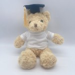 Teddy Bear with Hoodies Manufacturer - OEM Custom Embroidered Plush