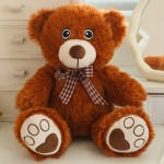Super Soft Teddy Bear Supplier - OEM Custom Silk Embroidered Eyes