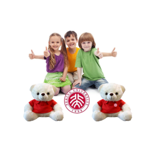 Ready Stock Teddy Bear Supplier - OEM Custom T-shirt Plush Toy