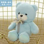 Small Teddy Bear Manufacturer - OEM Custom 30cm Ribbon Bear