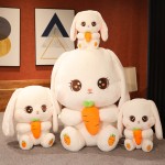 Plush Bunny Toy Supplier - OEM Custom Fluffy Easter Gift