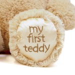 Valentine Bear Toy Manufacturer - OEM Custom My First Teddy