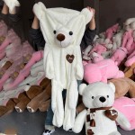 Kawaii Stuffed Animal Manufacturer - OEM Customized Bear Plush