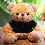 Ready Stock Teddy Bear Supplier - OEM Custom T-shirt Plush Toy