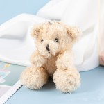 Mini Teddy Bear Supplier - OEM Custom Bulk Party Favor