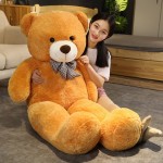 Giant Teddy Bear Supplier - OEM Custom 120-160cm Kids Gift