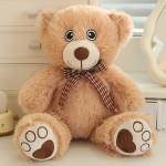 Super Soft Teddy Bear Supplier - OEM Custom Silk Embroidered Eyes