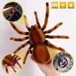 RC Spider Toy Manufacturer - OEM Custom Realistic Moving Pet