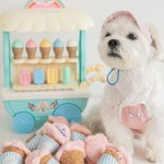 Pet Food Toy Manufacturer - OEM Custom Sniffing Sound Ice Cream