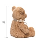 Valentine Bear Toy Manufacturer - OEM Custom My First Teddy