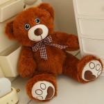 Super Soft Teddy Bear Supplier - OEM Custom Silk Embroidered Eyes
