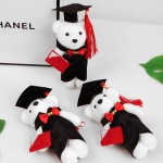 Graduation Bear Manufacturer - OEM Custom Ph.D Master Uniform