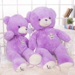 Lavender Teddy Bear Supplier - OEM Custom PP Cotton Filled Doll