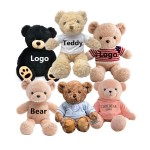Graduation Teddy Bear Supplier - OEM Custom Logo T-shirt Design