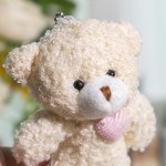 Blush Bear Keychain Manufacturer - OEM Custom Cute Baby Plush