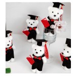 Graduation Bear Manufacturer - OEM Custom Ph.D Master Uniform