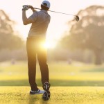 Animal Golf Cover Factory - OEM Custom Plush Ball Cover Design