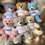 Graduation Teddy Bear Supplier - OEM Custom Logo T-shirt Design