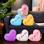 Plush Toy Manufacturer - LED Heart Stuffed Animal