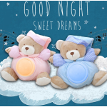 Night Light Manufacturer - Musical Bear Lamp