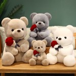 Plush Toy Factory - 3 Colors Valentine Bear