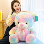 Plush Toy Factory - Rainbow Teddy Bear Custom