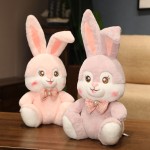 Plush Doll Manufacturer - Long Ear Rabbit Stuffed