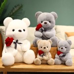 Plush Toy Factory - 3 Colors Valentine Bear