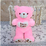 Plush Toy Manufacturer - Valentine Teddy Bear Skin
