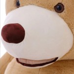 Plush Toy Manufacturer - 130-200cm Bear Skin Gift