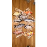 Pet Toy Factory - 3D Fish Cat Toy