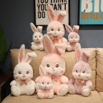 Plush Doll Manufacturer - Long Ear Rabbit Stuffed