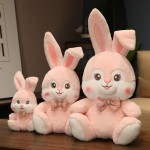 Plush Doll Manufacturer - Long Ear Rabbit Stuffed