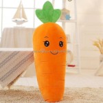Plush Toy Manufacturer - Emotion Carrot Pillow