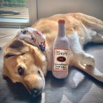 Pet Toy Manufacturer - Wine Bottle Squeaky Toy