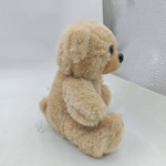 Plush Toy Factory - Recordable Singing Bear