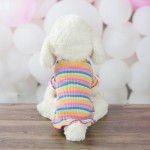 Pet Clothing Factory - Rainbow Hoodie for Pets