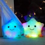 Plush Toy Manufacturer - Musical Light Up Bear