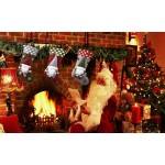 Christmas Decor Manufacturer - 19 Inch Light Up Tomte