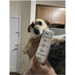 Pet Toy Factory - Chill Pup Parody Toy