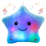 Plush Toy Manufacturer - Musical Light Up Bear