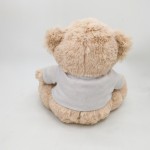 Plush Toy Manufacturer - 15cm Hoodie Bear Toy