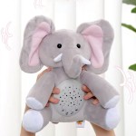 Plush Toy Manufacturer - Starlight Music Projection