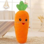 Plush Toy Manufacturer - Emotion Carrot Pillow