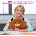 Plush Toy Manufacturer - Weighted Highland Cow