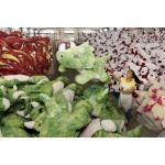 Pet Toy Manufacturer - Dog House with 5 Dogs