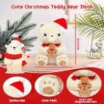 Plush Toy Manufacturer - Christmas Teddy Pillow